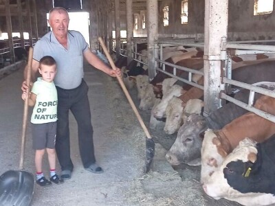 Antonio Kiš, Radenko Jeremić