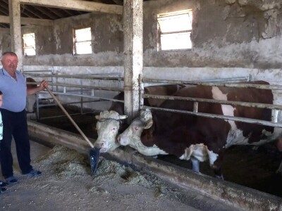 Antonio Kiš, Radenko Jeremić