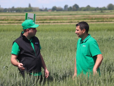 Antonio Peršinović, mladi poljoprivrednik iz Virja Antonio Peršinović, mladi poljoprivrednik iz Virja