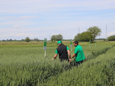 Antonio Peršinović, mladi poljoprivrednik iz Virja Antonio Peršinović, mladi poljoprivrednik iz Virja