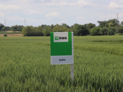 Antonio Peršinović, mladi poljoprivrednik iz Virja Antonio Peršinović, mladi poljoprivrednik iz Virja