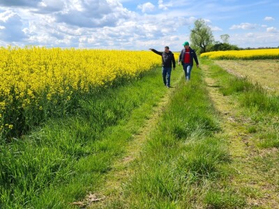 Antonio Šignjar uzgaja Anniston i Aurelia hibride uljane repice