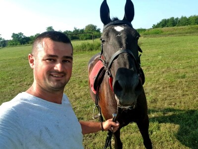 Apel mladog Slavonca