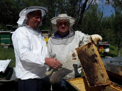 Apiinhalacije - Armin Nuhanović