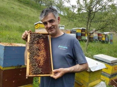 Apiterapija Samir Baralija