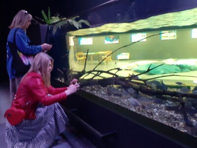 Aquatika - slatkovodni akvarij u Karlovcu