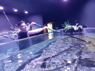 Aquatika - slatkovodni akvarij u Karlovcu