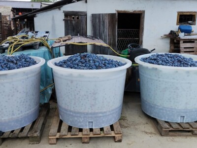 Arambašić voćne rakije