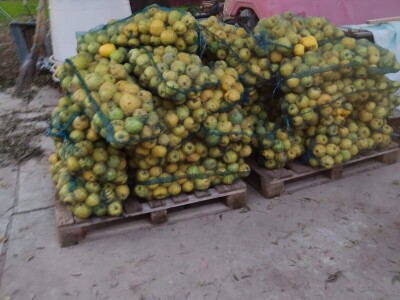 Arambašić voćne rakije