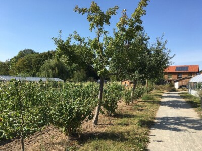 Arhitektura u zaštiti prirode Arhitektura u zaštiti prirode