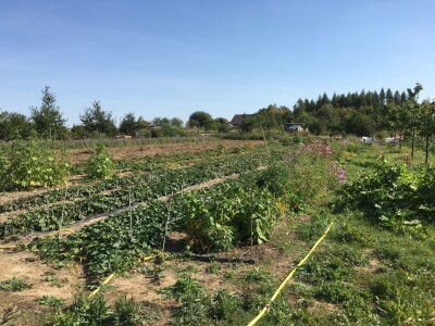 Arhitektura u zaštiti prirode Arhitektura u zaštiti prirode
