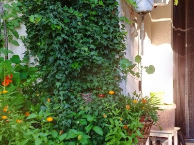 Arijana Mangafić: Moj vrt je moja oaza