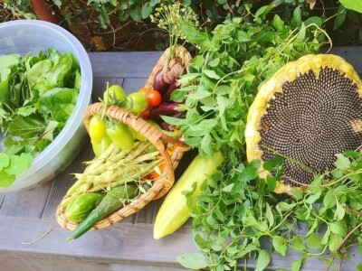 Arijana Mangafić: Moj vrt je moja oaza