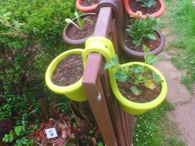 Arijana Mangafić: Moj vrt je moja oaza