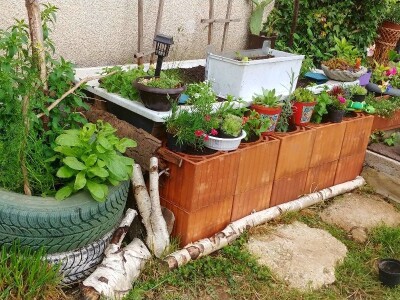 Arijana Mangafić: Moj vrt je moja oaza