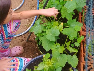 Arijana Mangafić: Moj vrt je moja oaza