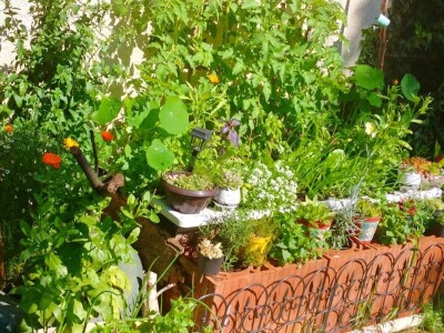 Arijana Mangafić: Moj vrt je moja oaza