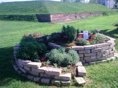 Aromatični spiralni vrrtovi