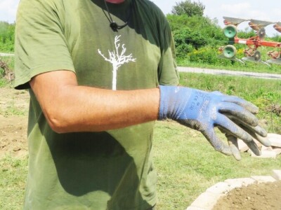 Aromatični spiralni vrrtovi