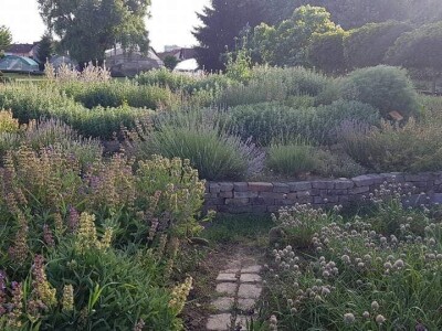 Aromatični spiralni vrrtovi