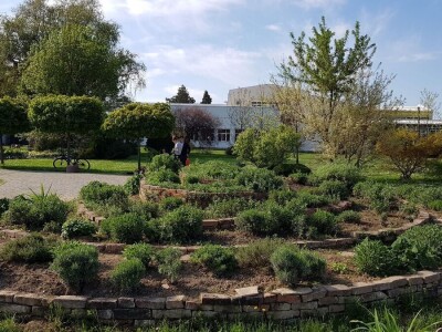 Aromatični spiralni vrrtovi