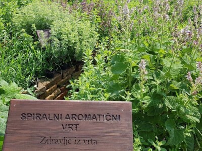 Aromatični spiralni vrtovi