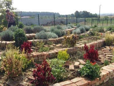 Aromatični spiralni vrtovi