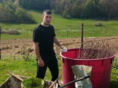 Sadnja novih 1.900 sadnica