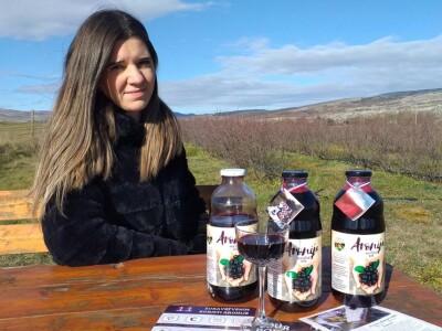 Aronija - egzotična voćka od koje se može pristojno živjeti u BiH Aronija - egzotična voćka od koje se može pristojno živjeti u BiH