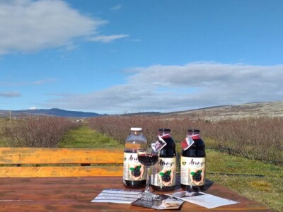 Aronija - egzotična voćka od koje se može pristojno živjeti u BiH Aronija - egzotična voćka od koje se može pristojno živjeti u BiH