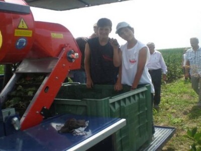 Aroniji se raduju i najmlađi