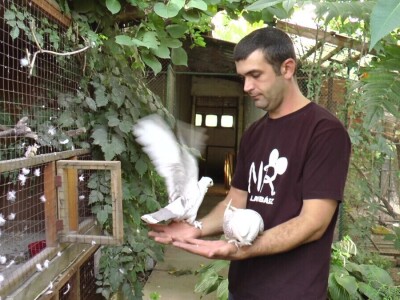 Arpad Kosoruš u porodičnom dvorištu napravio mini zoo-vrt