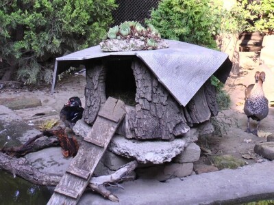 Arpad Kosoruš u porodičnom dvorištu napravio mini zoo-vrt