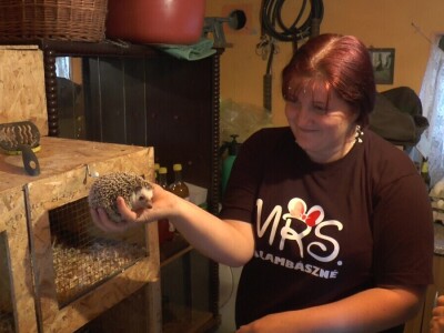 Arpad Kosoruš u porodičnom dvorištu napravio mini zoo-vrt