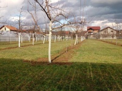 Asad Jelešković, stečeno znanje i iskustvo poljoprivrednicima prenosim kroz brojne edukacije širom BiH