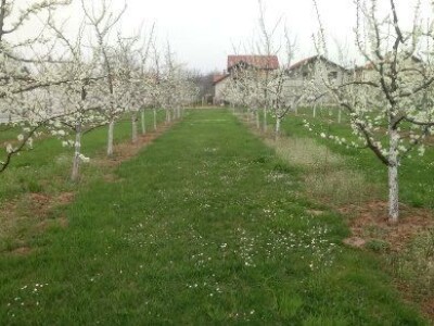 Asad Jelešković, stečeno znanje i iskustvo poljoprivrednicima prenosim kroz brojne edukacije širom BiH