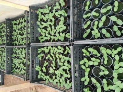 Asad Jelešković, stečeno znanje i iskustvo poljoprivrednicima prenosim kroz brojne edukacije širom BiH