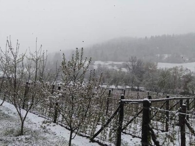 Asad Jelešković, stečeno znanje i iskustvo poljoprivrednicima prenosim kroz brojne edukacije širom BiH