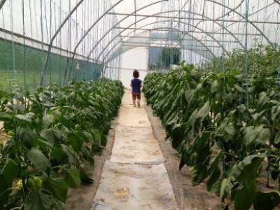 Asad Jelešković, stečeno znanje i iskustvo poljoprivrednicima prenosim kroz brojne edukacije širom BiH