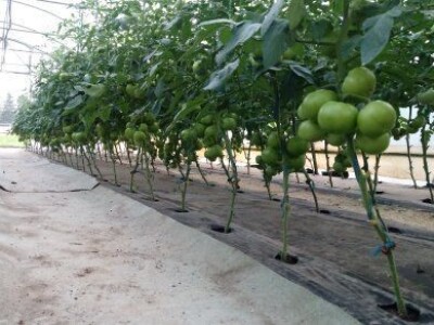 Asad Jelešković, stečeno znanje i iskustvo poljoprivrednicima prenosim kroz brojne edukacije širom BiH