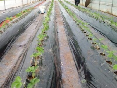 Asad Jelešković, stečeno znanje i iskustvo poljoprivrednicima prenosim kroz brojne edukacije širom BiH