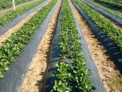 Asad Jelešković, stečeno znanje i iskustvo poljoprivrednicima prenosim kroz brojne edukacije širom BiH