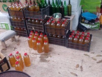 Asad Jelešković, stečeno znanje i iskustvo poljoprivrednicima prenosim kroz brojne edukacije širom BiH