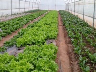 Asad Jelešković, stečeno znanje i iskustvo poljoprivrednicima prenosim kroz brojne edukacije širom BiH