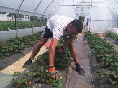 Asad Jelešković, stečeno znanje i iskustvo poljoprivrednicima prenosim kroz brojne edukacije širom BiH