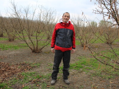 Atomizer Martignani u nasadu Baranjskih lješnjaka