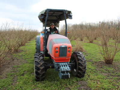 Atomizer Martignani u nasadu Baranjskih lješnjaka