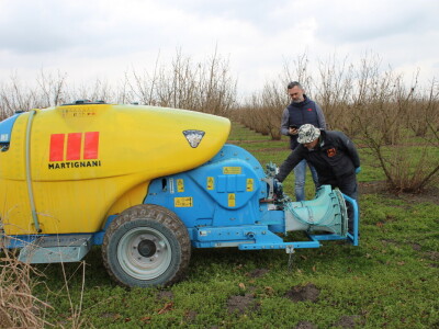 Atomizer Martignani u nasadu Baranjskih lješnjaka