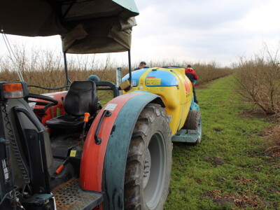 Atomizer Martignani u nasadu Baranjskih lješnjaka