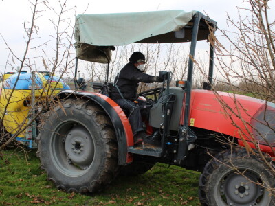 Atomizer Martignani u nasadu Baranjskih lješnjaka